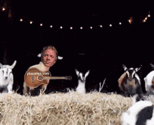 Funny Goats Ylia Callan GIF - Funny Goats Ylia Callan Guitar GIFs