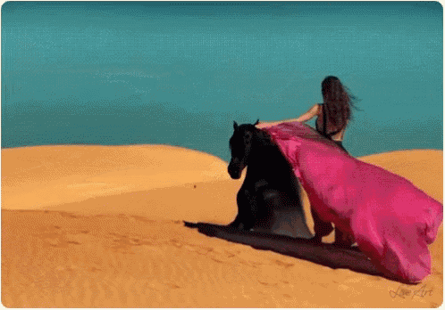 Horse Woman GIF - Horse Woman - Descubre amp Comparte GIFs