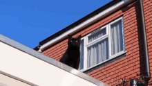 Up Is Not Jump Sid The Cat GIF - Up Is Not Jump Sid The Cat Cat On Roof GIFs