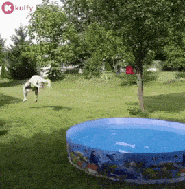 Water Games Fail.Gif GIF - Water games fail Water Funny water ...