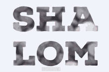 Shalom Ishbaj GIF - Shalom Ishbaj Paz A Vos GIFs