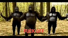 fuck off from the jungle gorilla bye jungle fuck off gorilla fuck off