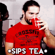 seth rollins i dont know wwe red cup sips tea