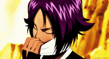 bleach yoruichi
