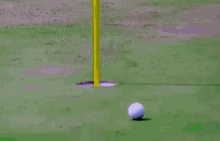 Justin Thomas Ricky Fowler GIF - Justin Thomas Ricky Fowler Hole In One GIFs