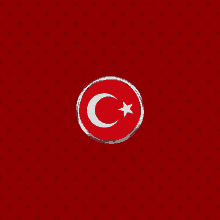 Türk Bayrağıdönen GIF - Türk Bayrağıdönen GIFs