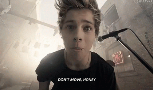 Dont Move GIF - Dont Move Do Not Move Honey GIFs