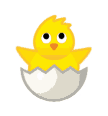 hatching chick baby chicken cute egg
