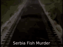 Duck The Great Western Engine Serbia Fish GIF - Duck The Great Western Engine Serbia Fish Meme GIFs