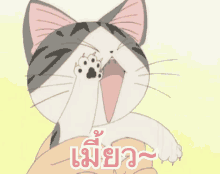 แมว เหมียว แมี้ยว GIF - Cat Meow Anime GIFs