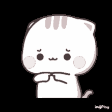 cat mochi embarrassed cute maybe cat mochi embarrassed cute maybe