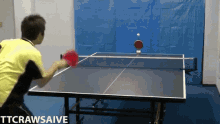 乒乓 Ping Pong GIF - 乒乓 Ping Pong Table Tennis GIFs