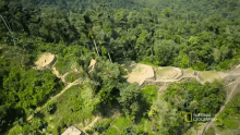 overview albert lin national geographic exploring ciudad perdida lost cities with albert lin