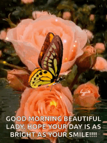 good morning flowers beautiful day hope your day is as beautiful as your smile sparkle good morning flowers beautiful day hope your day is as beautiful as your smile sparkle