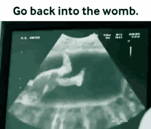 Back Into The Womb GIF - Back Into The Womb GIFs