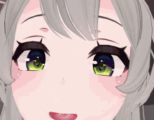 viichan 0206
