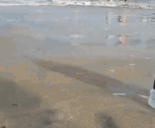 water wave