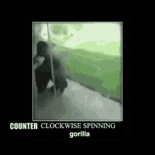 spinning gorilla reverse turn meme
