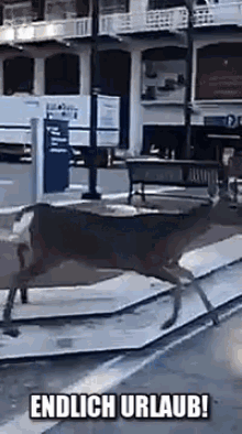 Schone Ferien Urlaub GIF Schone Ferien Ferien Urlaub Discover