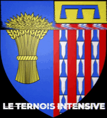 Ternois Blason GIF - Ternois Blason Flag GIFs