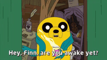 finn human jake dog adventure finn human jake dog adventure