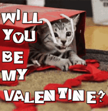 Will You Be My Valentine Be Mine GIF - Will You Be My Valentine Be Mine Be My Valentine GIFs