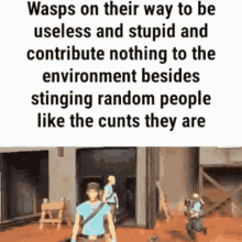 gamingmoment wasps on their way
