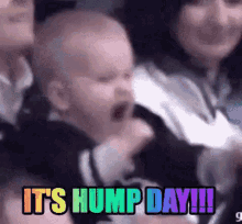 Hump Day Everyday GIF - Hump Day Hump Day GIFs