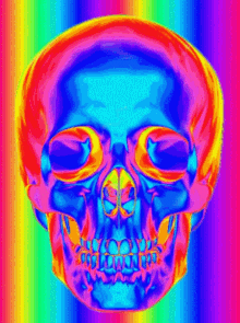 Skull Thermal Image GIF - Skull Thermal Image Human Skull GIFs