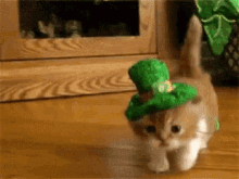 Cat Leprechaun GIF - Cat Leprechaun Paddy Kitten GIFs
