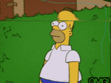 Homer Homer Simpson GIF - Homer Homer Simpson Shocked GIFs