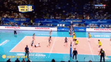 womens volleyball womens volleyball