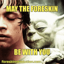 Foreskin Star Wars GIF - Foreskin Star Wars Yoda GIFs