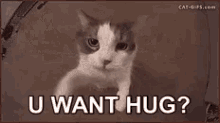 U Want Hug GIF - U Want Hug GIFs
