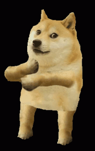 Doge Meme GIFs | Tenor