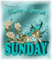 Have A Great Sunday आपकारविवारशुभहो GIF - Have A Great Sunday आपकारविवारशुभहो पारी GIFs