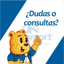 newport contigo office staff newport contigo office staff