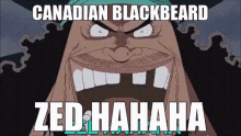 Canadian Blackbeard GIF - Canadian Blackbeard One Piece GIFs