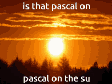 Pascal Sct Pascal Super Cat Tales GIF - Pascal Sct Pascal Super Cat Tales Super Cat Tales GIFs