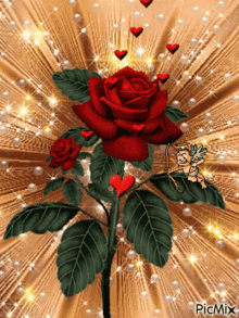 Red Rose Hearts GIF - Red Rose Hearts Love GIFs