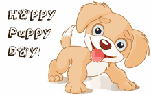 Happy Puppy Day GIF - National Puppy Day Puppy GIFs