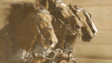 Horses Jack Huston GIF - Horses Jack Huston Judah Ben Hur GIFs