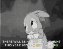 sorry sad bunny crying tears cartoon