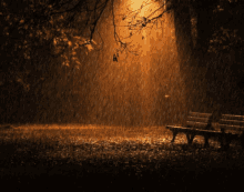 Rain Light GIF - Rain Light Beautiful GIFs
