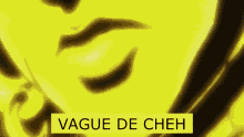 Chech Vague GIF - Chech Vague Hxh GIFs
