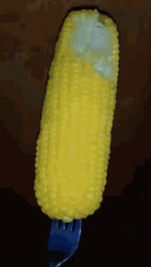 Corn Cob GIF - Corn Cob Little GIFs