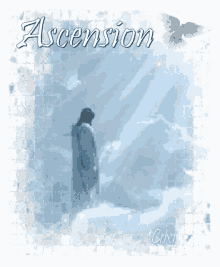 Ascension GIF - Ascension GIFs