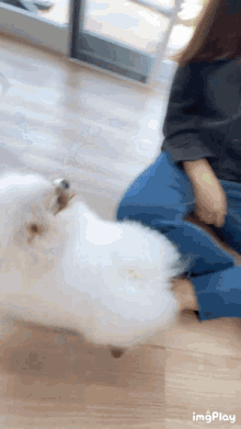doggo little