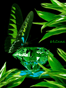 butterfly green diamond spinning crystal