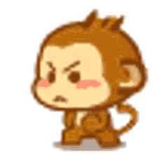 monkey fighting
